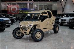 بولاريس RZR